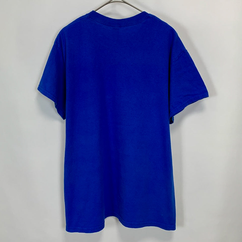 GILDAN ヘビーコットン DEFIANCE カレッジTシャツ