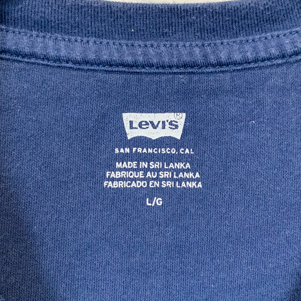 Levi's ツーホース ロゴプリント グラフィックTシャツ