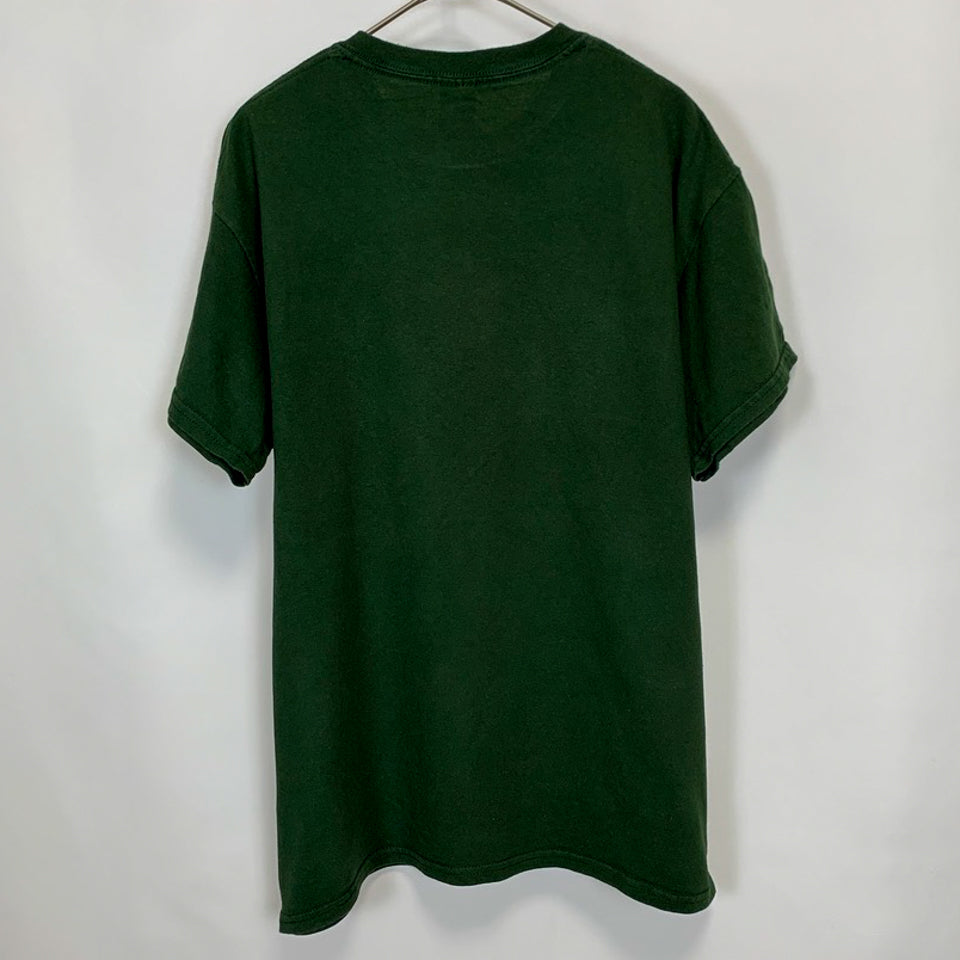 GILDAN ヘビーコットン フットボール FLAT ROCK HURON スポーツTシャツ